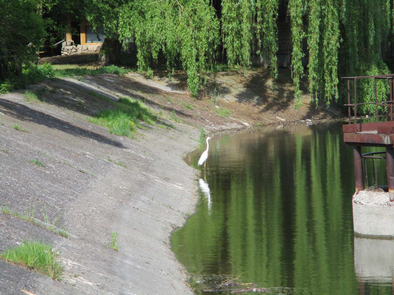 🏊 Озеро Набережна