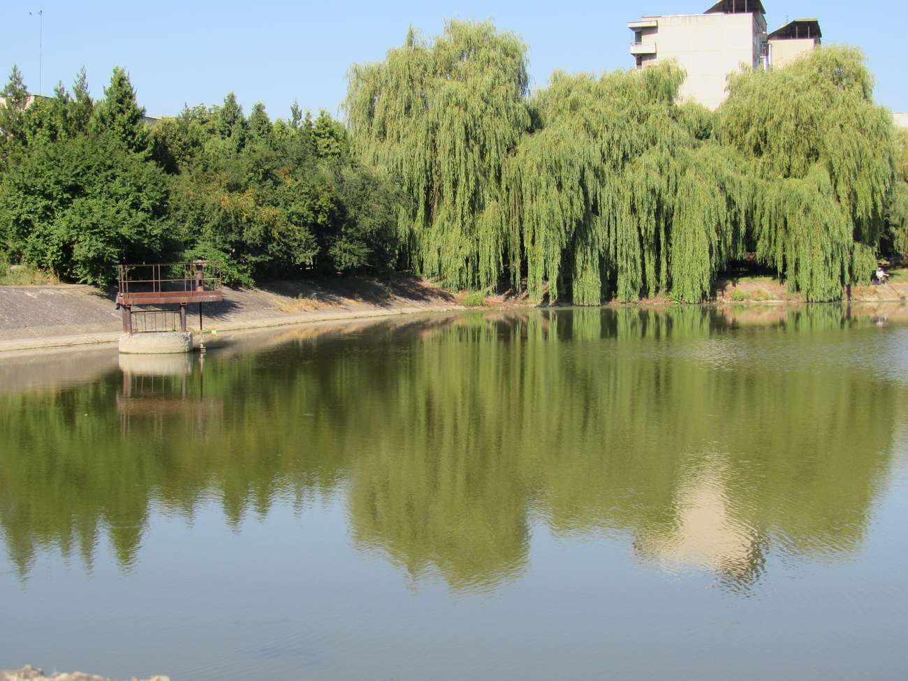 🏊 Озеро Набережна