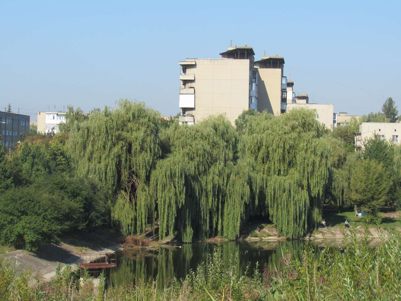 🏊 Озеро Набережна