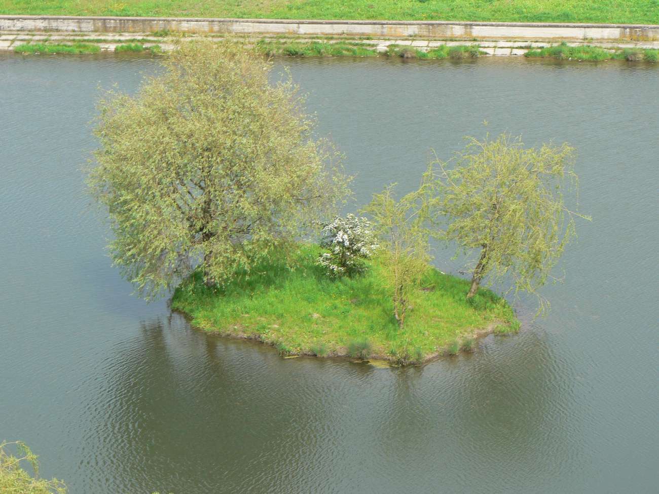 🏊 Озеро Набережна